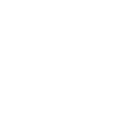 Wellness support